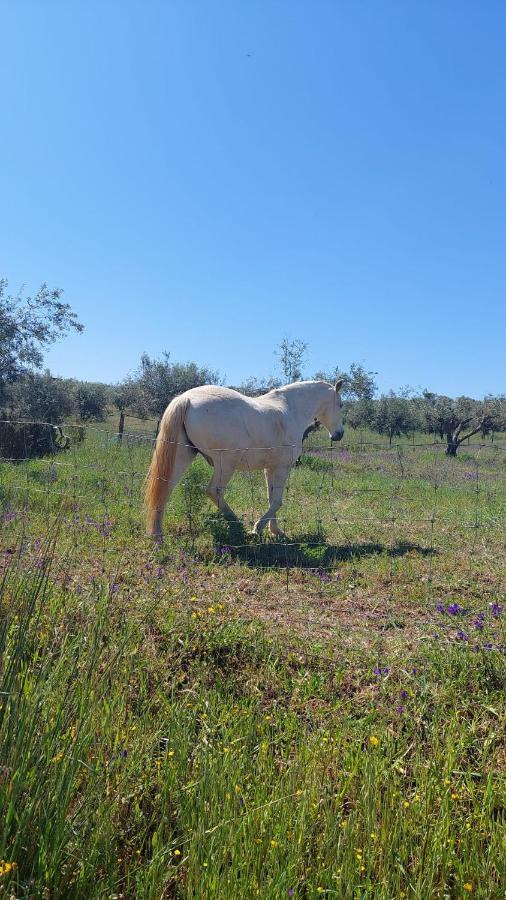 הוילה Sao Marcos do Campo Casa Coral מראה חיצוני תמונה